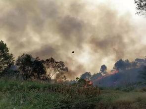 桂平最新爆料事件视频,视频揭露惊人真相! 第1张 桂平最新爆料事件视频,视频揭露惊人真相! 第1张